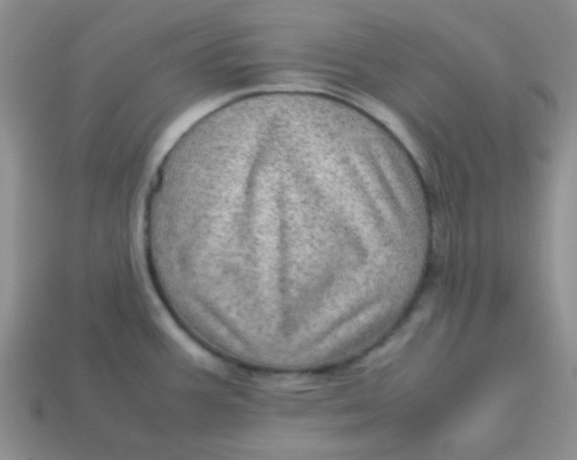 X0000113601387200910091511