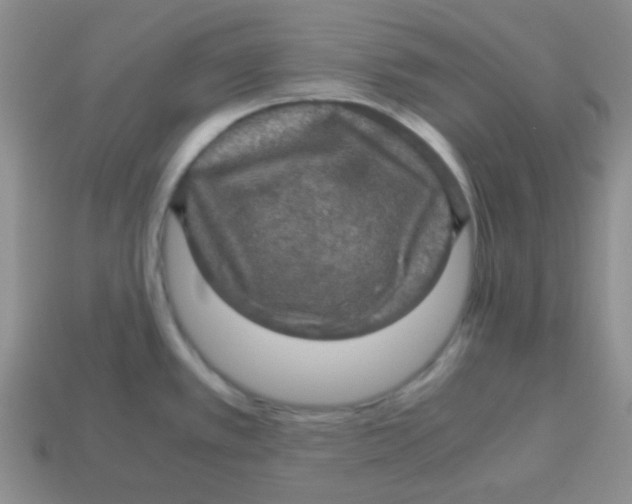 X0000113601389200910091511