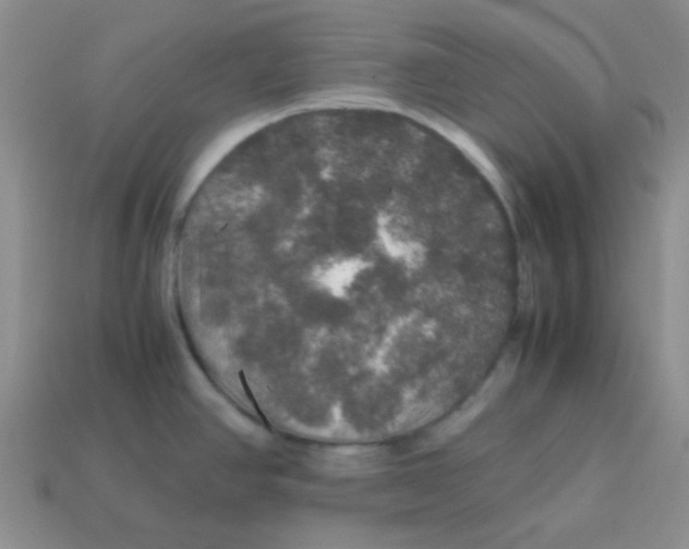 X0000113601390200910091511