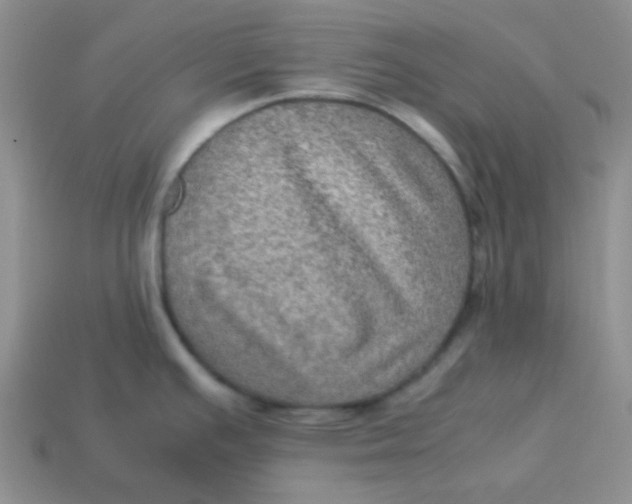 X0000113601391200910091511