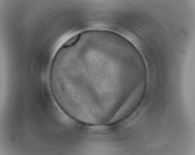 X0000113601392200910091511