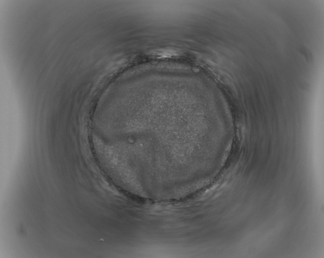 X0000113601393200910091511