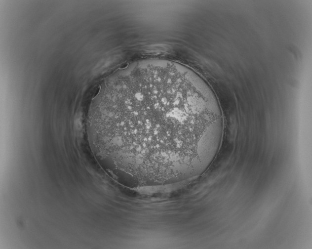 X0000113601394200910091511