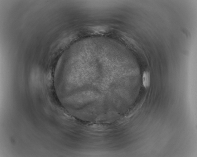 X0000113601395200910091511