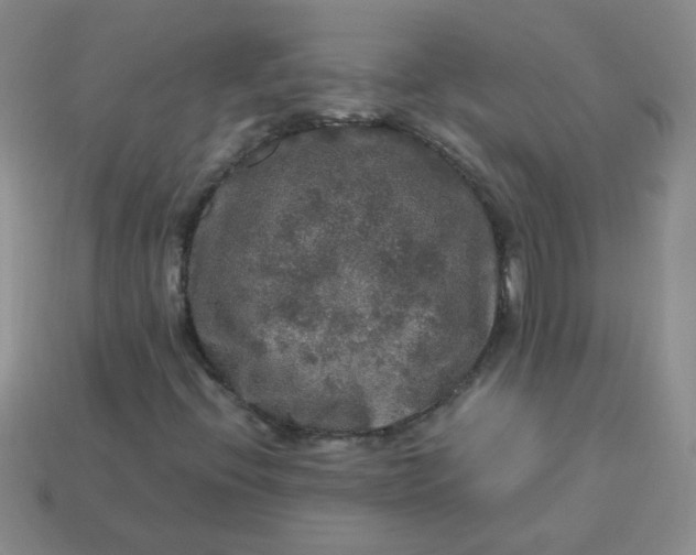 X0000113601396200910091511