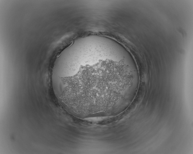 X0000113601398200910091511