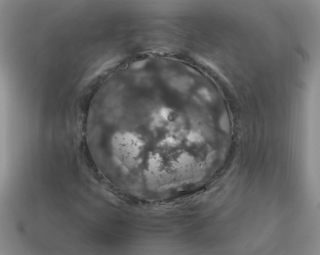 X0000113601399200910091511