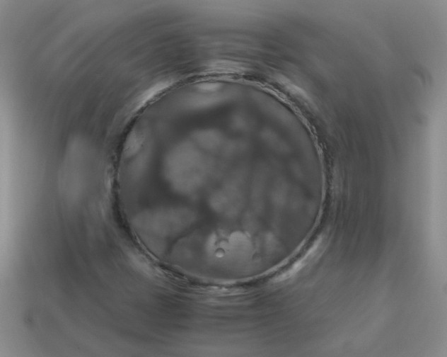 X0000113601401200910091511