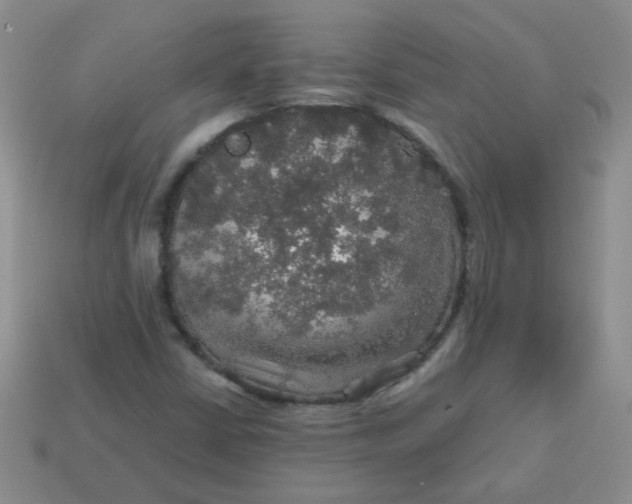 X0000113601402200910091511