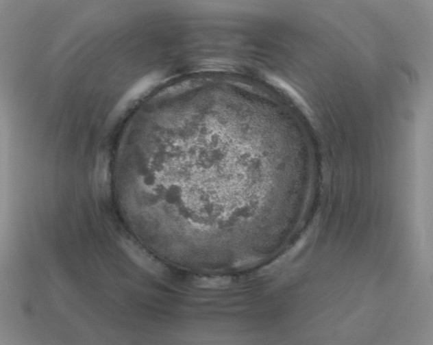 X0000113601403200910091511