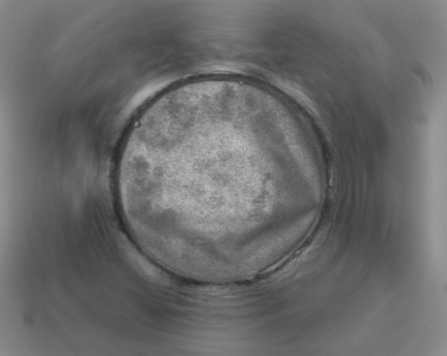 X0000113601404200910091511