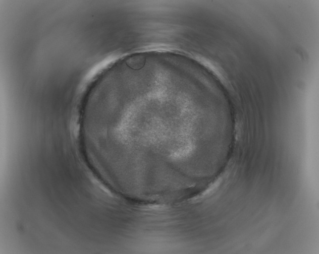 X0000113601406200910091511