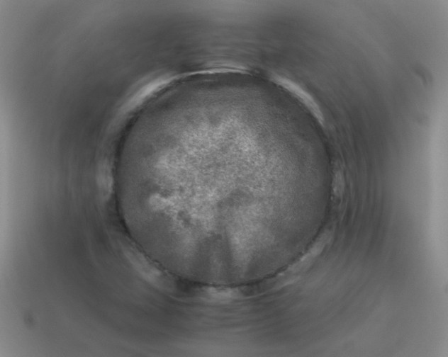 X0000113601407200910091511