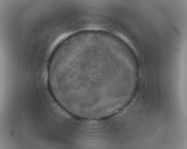 X0000113601408200910091511