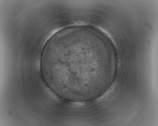 X0000113601409200910091511