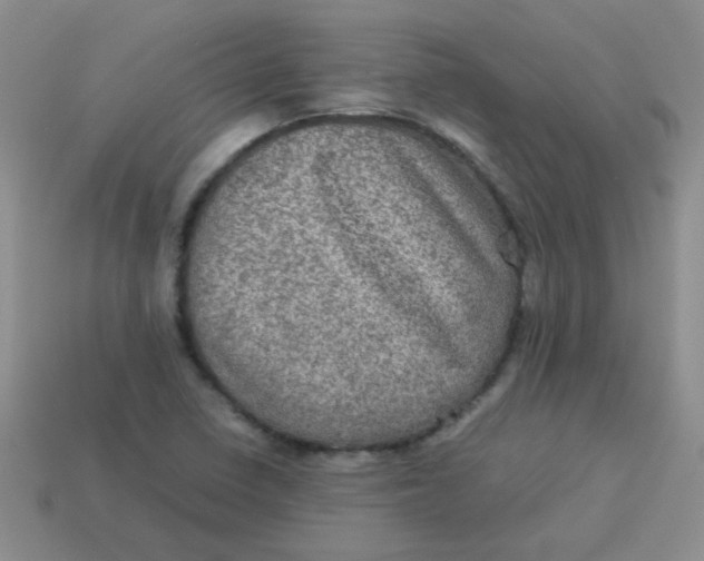 X0000113601410200910091511