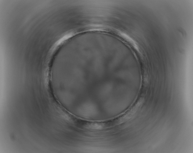 X0000113601411200910091511