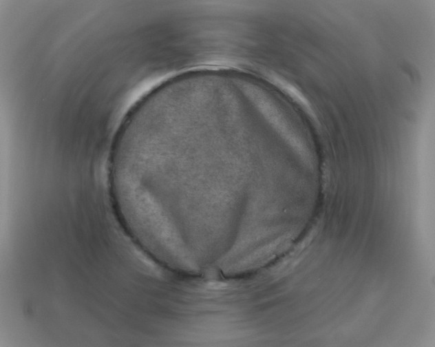 X0000113601412200910091511