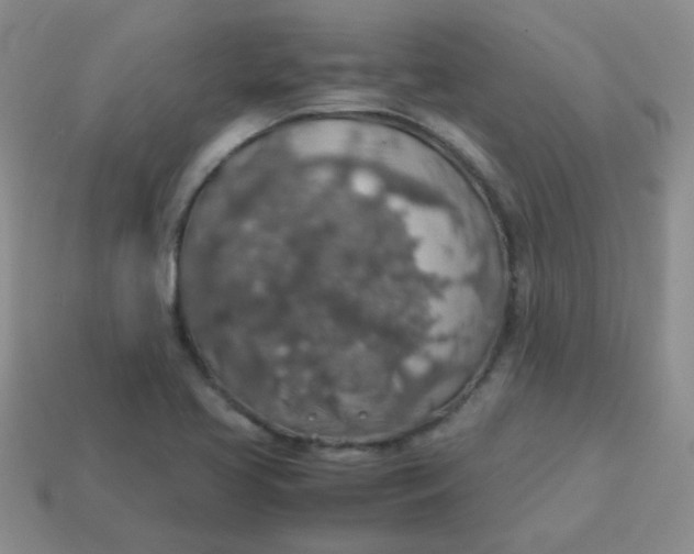 X0000113601413200910091511