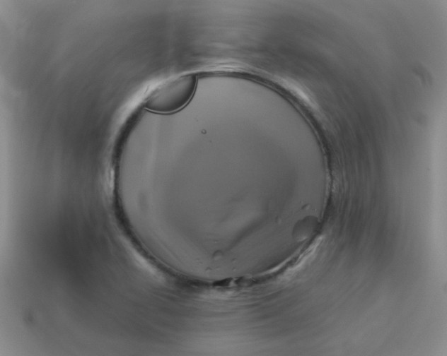 X0000113601414200910091511