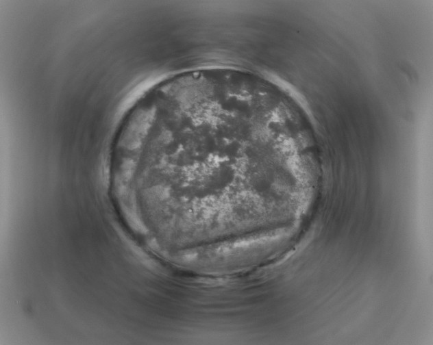 X0000113601415200910091511