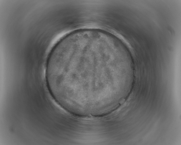 X0000113601416200910091511