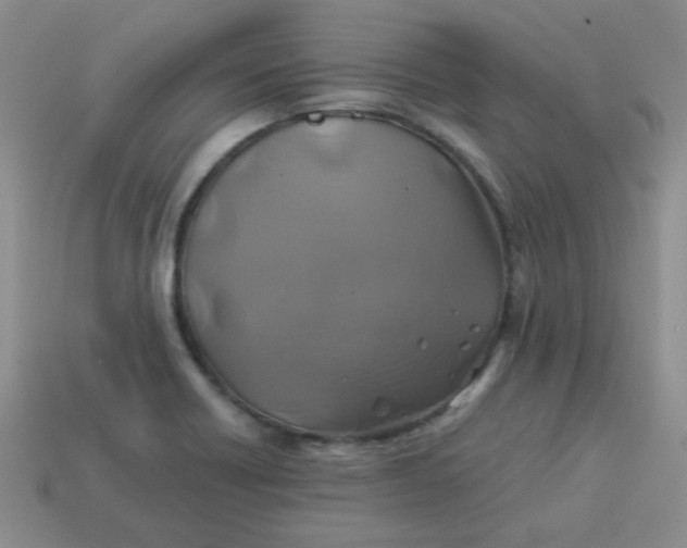 X0000113601418200910091511