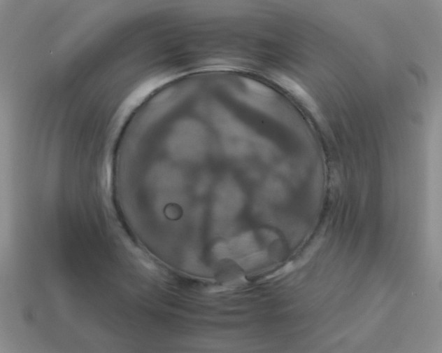 X0000113601419200910091511