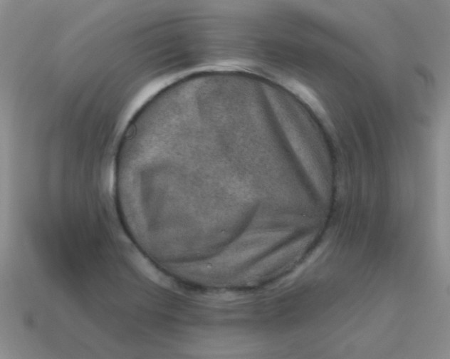 X0000113601420200910091511