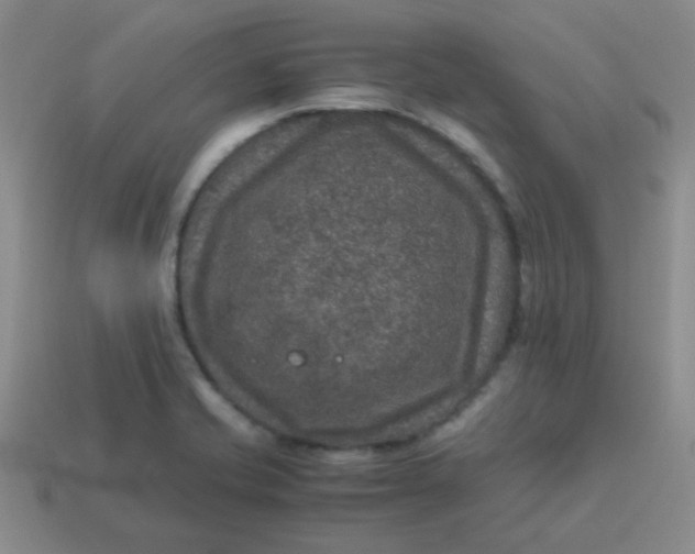 X0000113601421200910091511