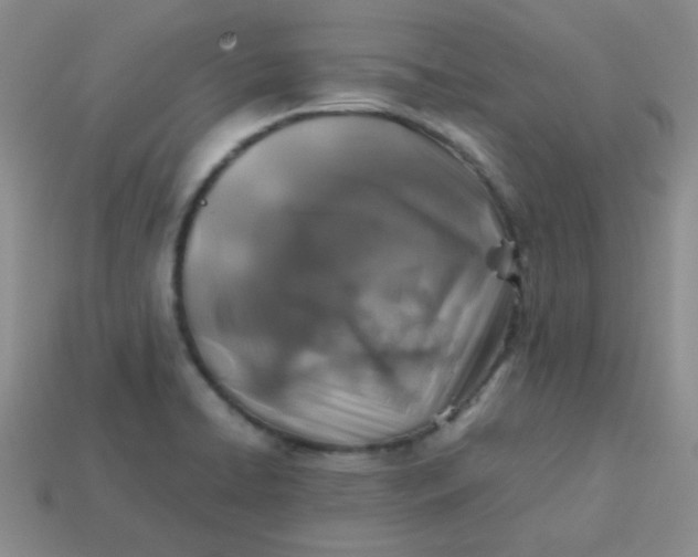 X0000113601422200910091511