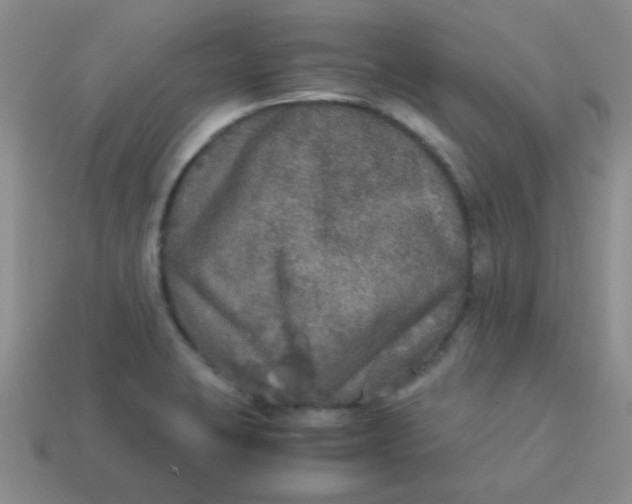 X0000113601423200910091511