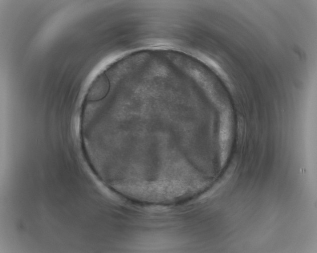 X0000113601424200910091511