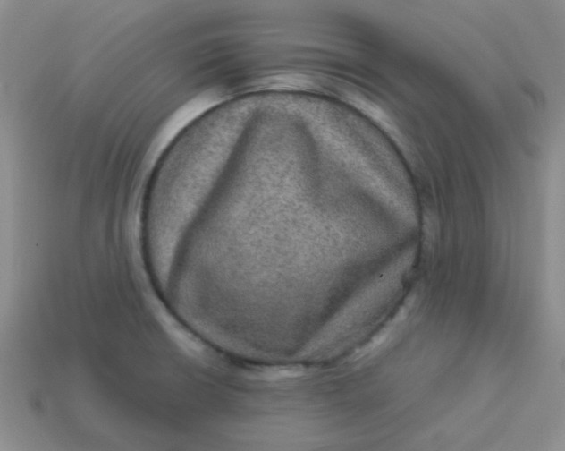 X0000113601426200910091511