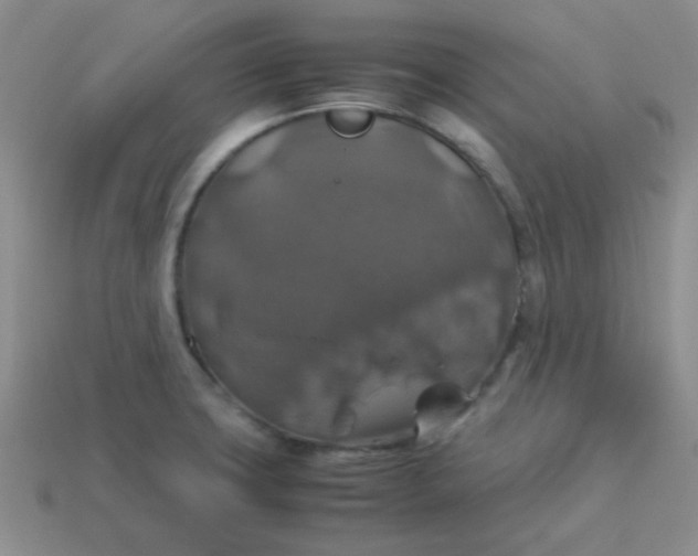 X0000113601427200910091511