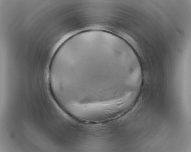 X0000113601428200910091511