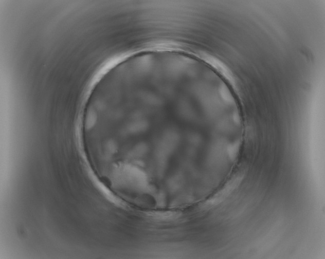 X0000113601429200910091511