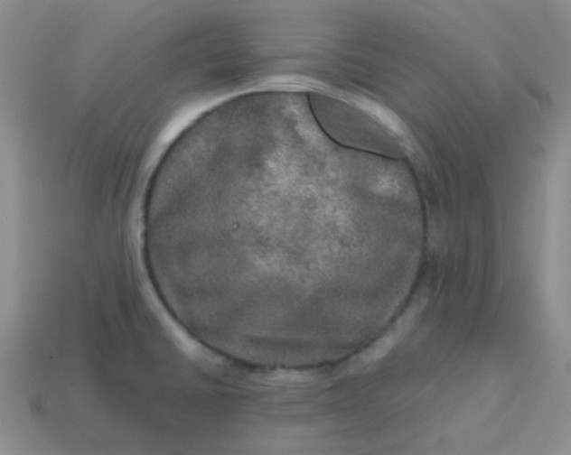 X0000113601430200910091511