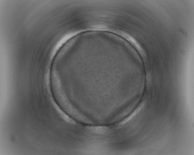 X0000113601432200910091511