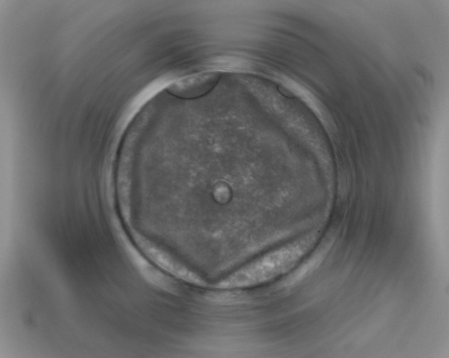 X0000113601434200910091511