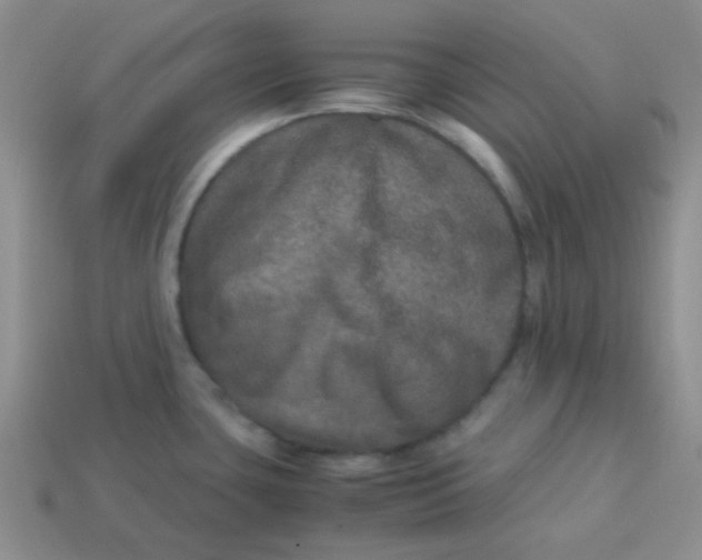 X0000113601435200910091511