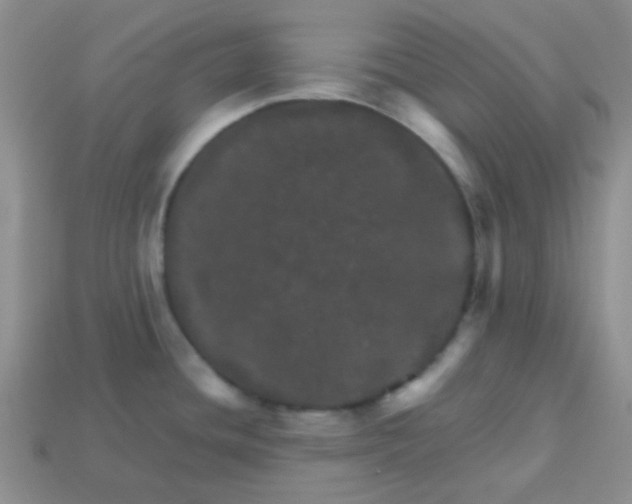 X0000113601436200910091511