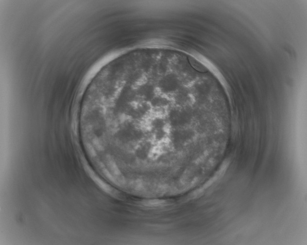 X0000113601437200910091511