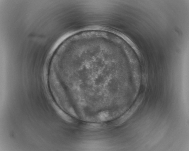 X0000113601438200910091511