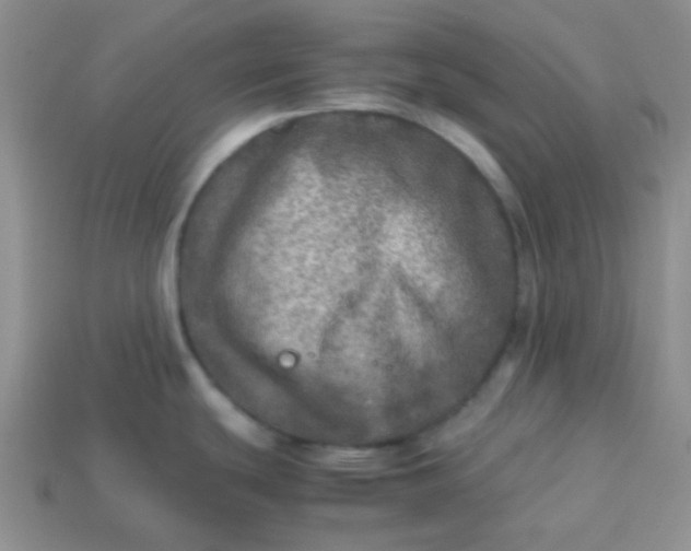 X0000113601439200910091511