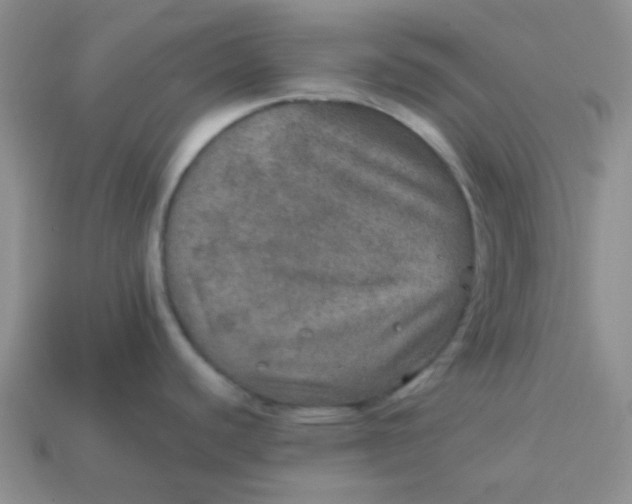 X0000113601440200910091511