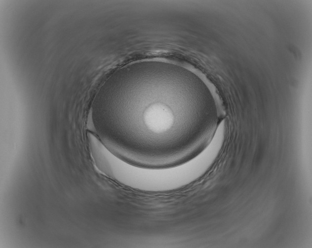 X0000113601441200910091511