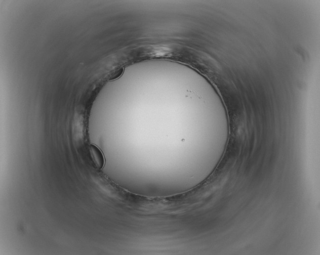 X0000113601442200910091511