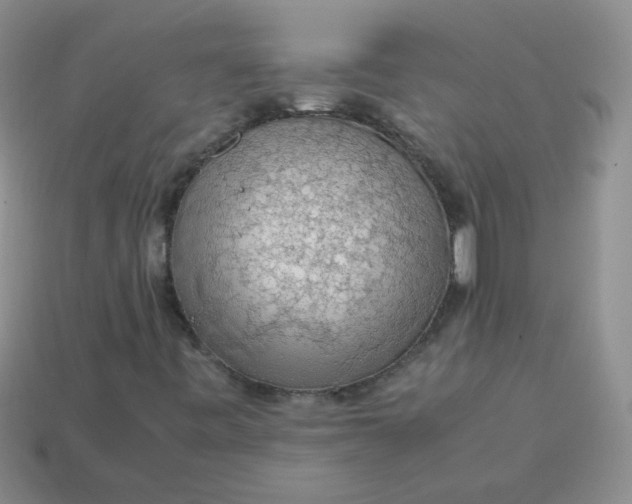 X0000113601443200910091511