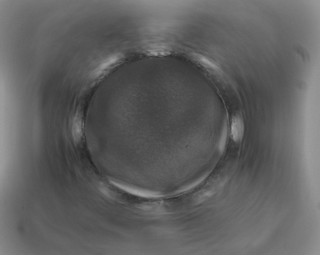 X0000113601444200910091511